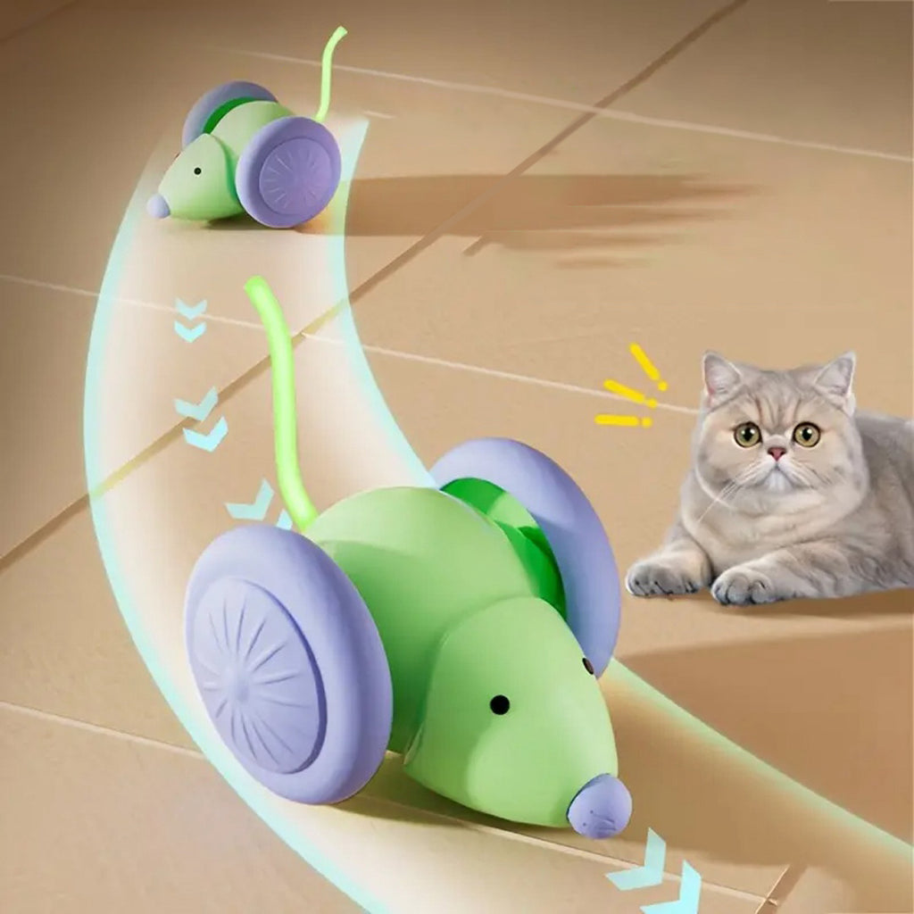 RoboMouse